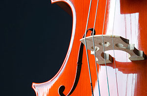 Custom Wall Art – Abstract – Classic Cello